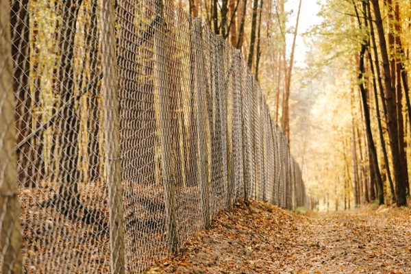 House fence Iron and outdoor. metal fence in the autumn sunny park. selective focus